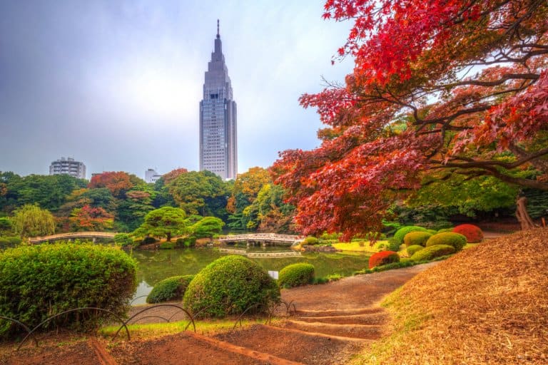 The Best Time to Visit Japan A Complete Guide The True Japan