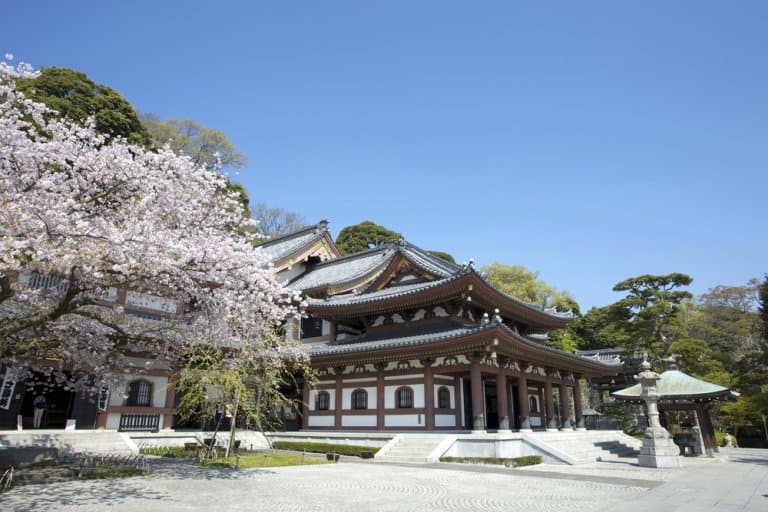 Hase Temple (HaseDera) History and Beauty The True Japan