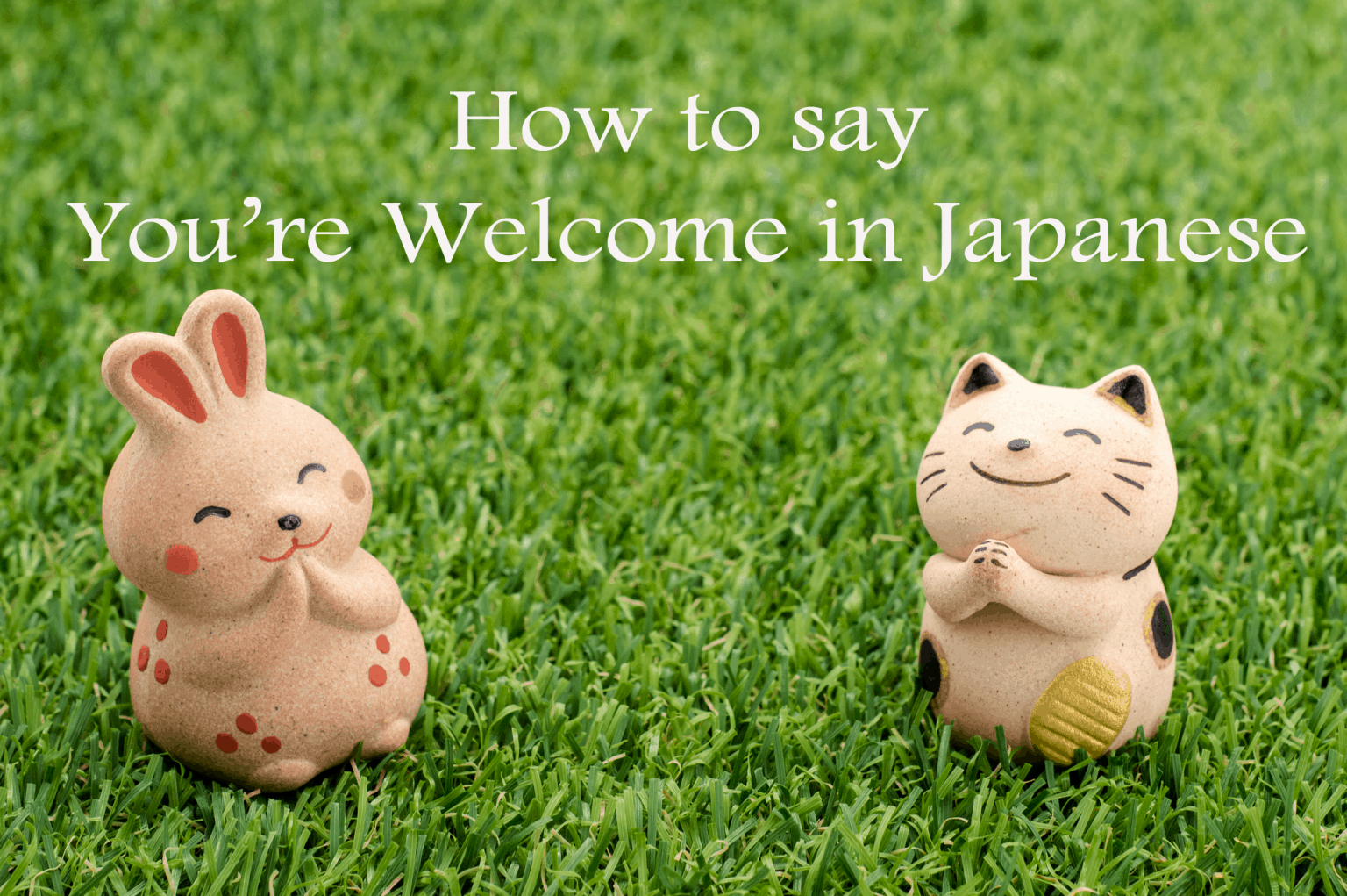 Ways To Say You Re Welcome In Japanese The True Japan Hot Sex Picture